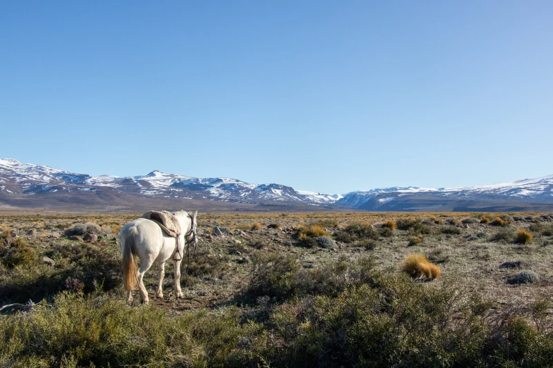 Ithier, un été en Patagonie
