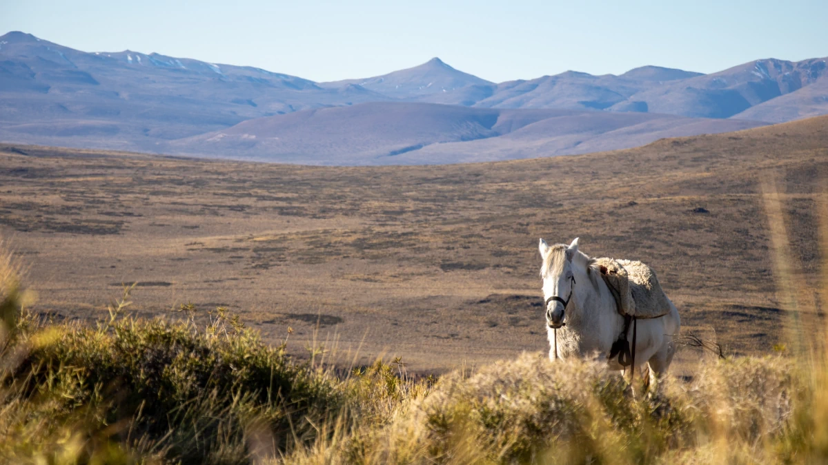 Ithier, un été en Patagonie