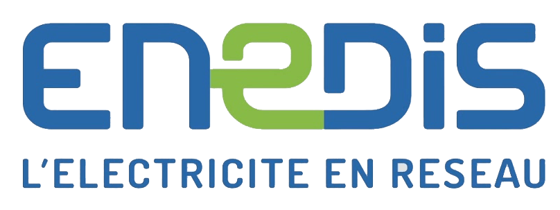 Enedis, entreprise marraine de la promotion 2020