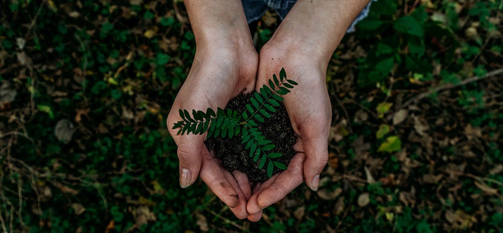 Semaine Étudiante de l’Écologie et de la Solidarité 2022