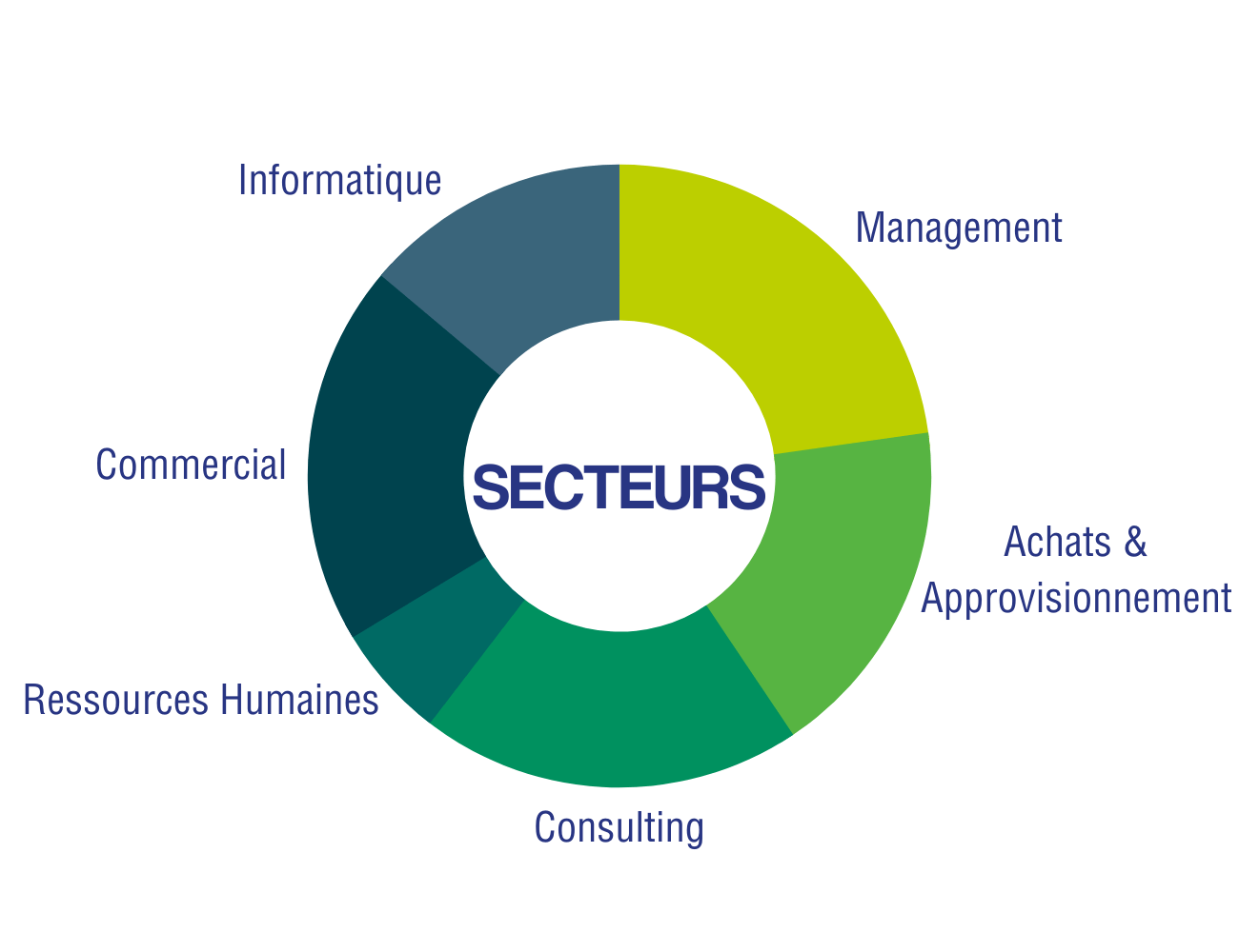 Secteurs de débouchés du MSc Ingénieurs d'affaires