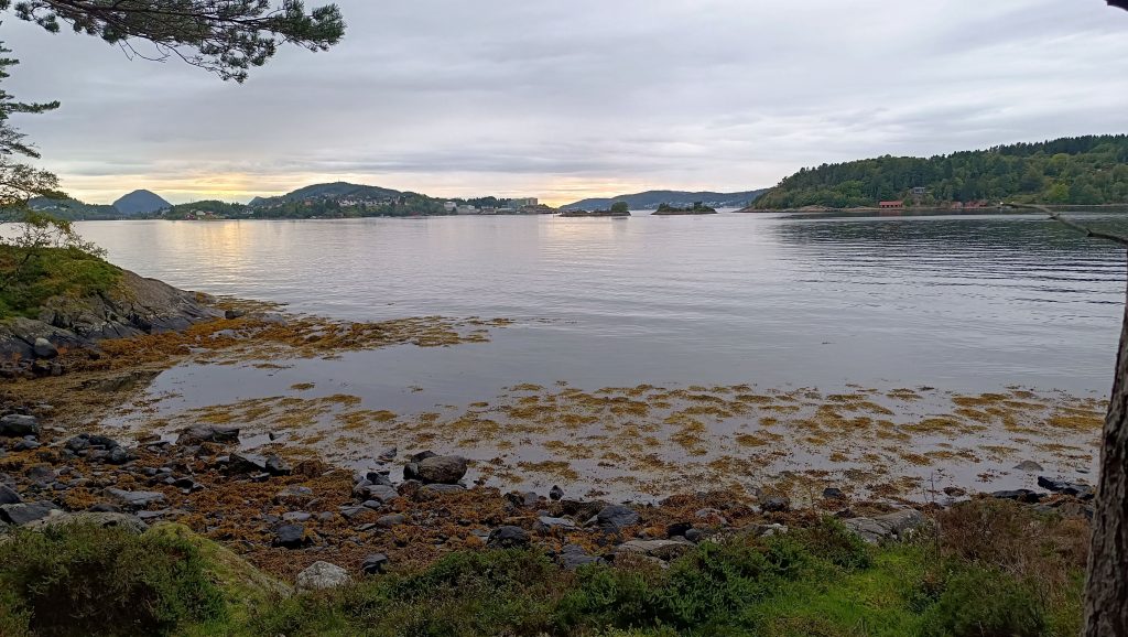 Semestre universitaire en Norv&egrave;ge : entre innovation et &eacute;merveillement