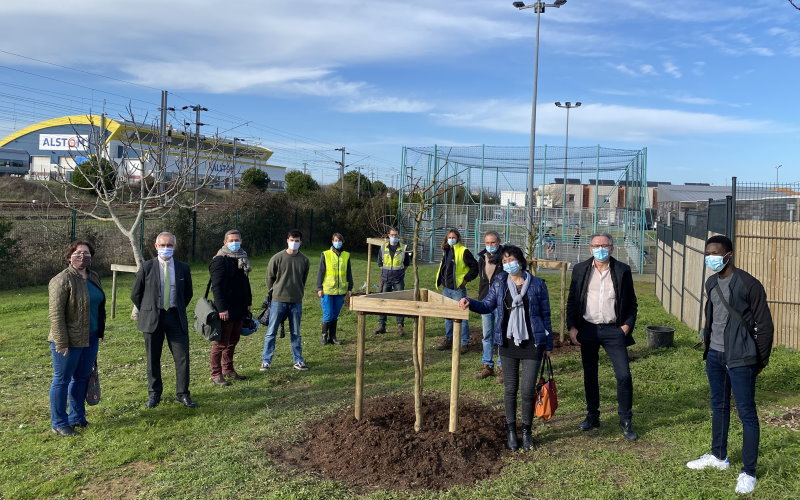 Défi Vélo, l&rsquo;EIGSI participe à la plantation d&rsquo;arbres fruitiers